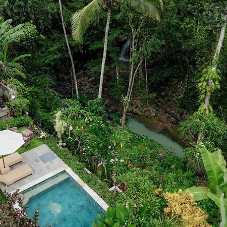 Campuhan Guesthouse Selemadeg エクステリア 写真