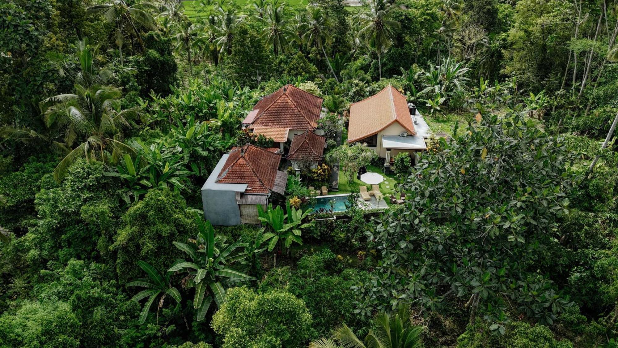 Campuhan Guesthouse Selemadeg エクステリア 写真