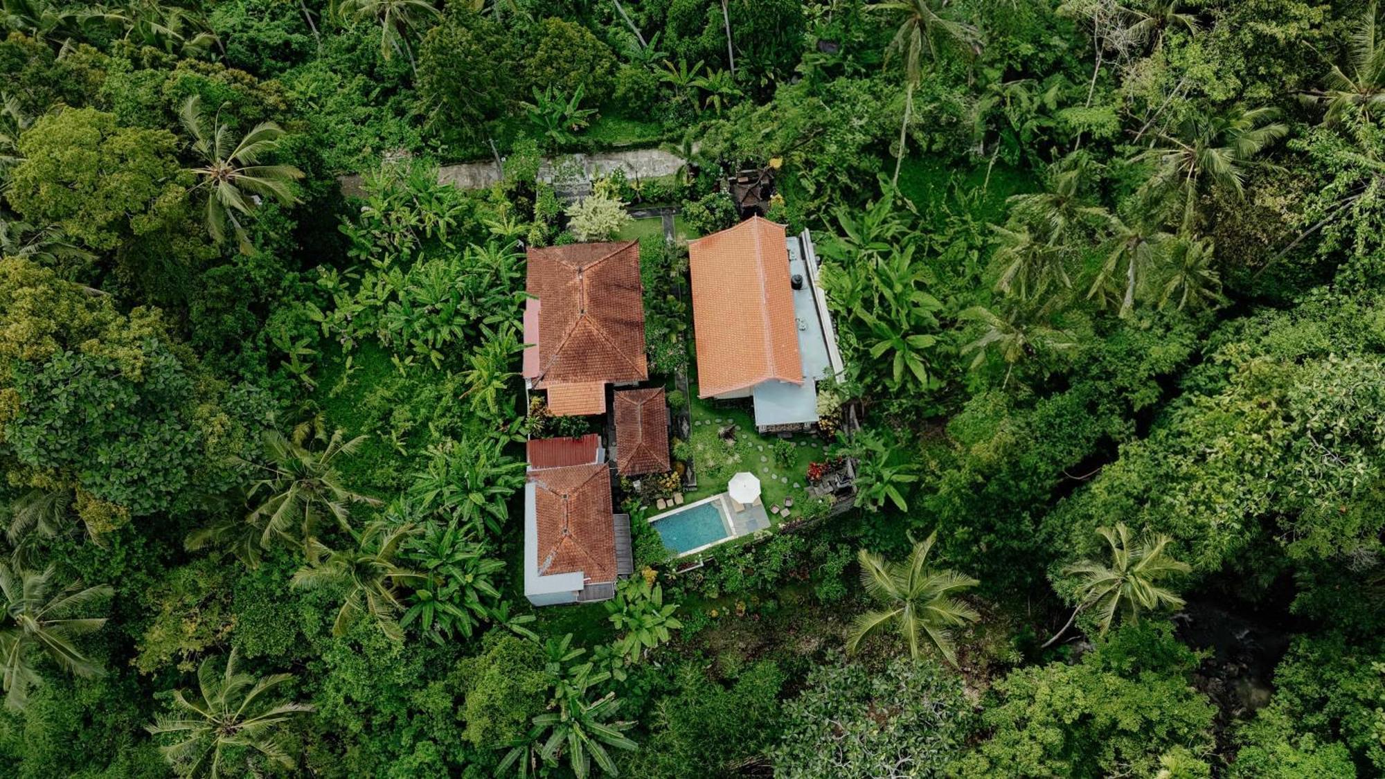 Campuhan Guesthouse Selemadeg エクステリア 写真